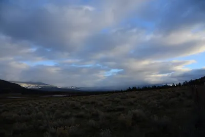 DSC_2944 (Large).JPG